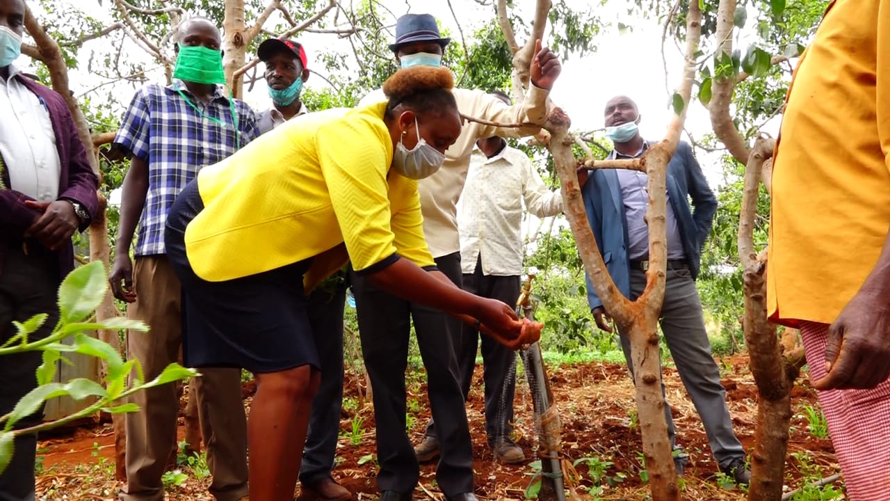COMMUNITY EMPOWERED TO MANAGE BOREHOLES FOR HOME DISTRIBUTION OF WATER.